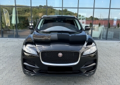 Jaguar Altul