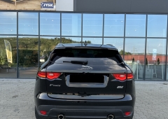 Jaguar Altul