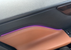 Jaguar Altul